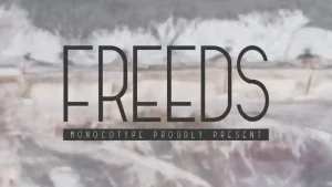 Freeds Sans Serif Font