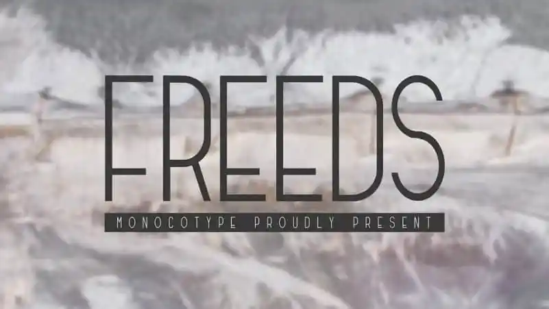Freeds Sans Serif Font