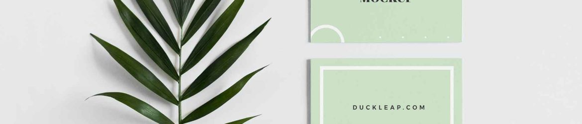 Front and Back Business Card Mockup