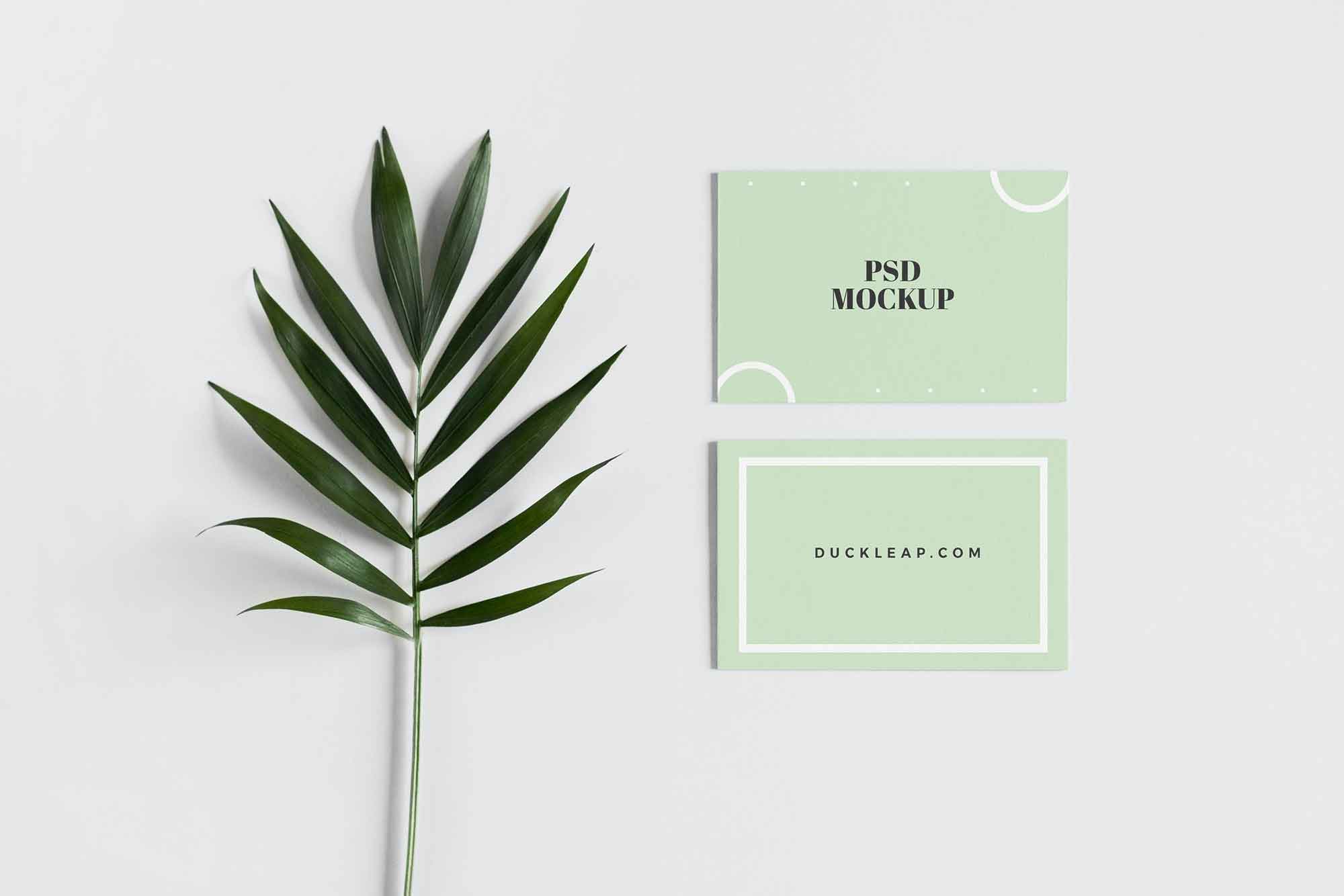 Front and Back Business Card Mockup