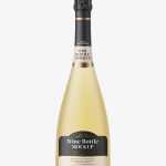 Frosted sparkling wine bottle mockup
