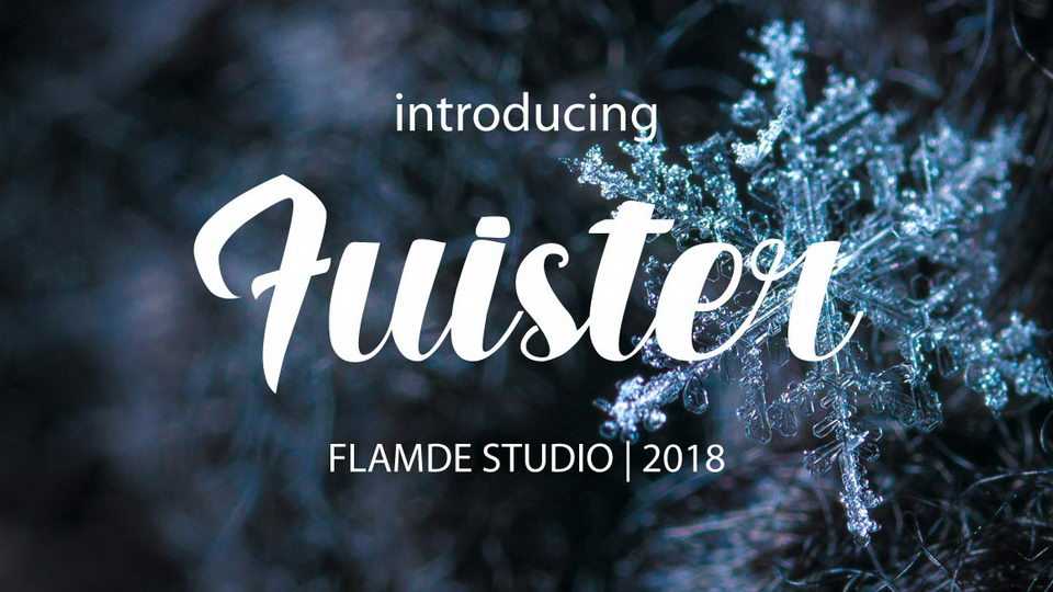 Fuister Script Font › Fontesk