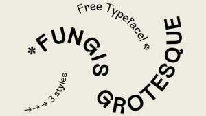 Fungis Grotesque Font Family › Fontesk