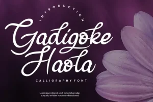 Gadigoke Handwritten Font