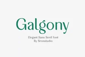 Galgony Sans Serif Font
