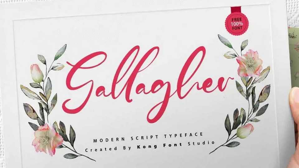 Gallagher Script Font › Fontesk