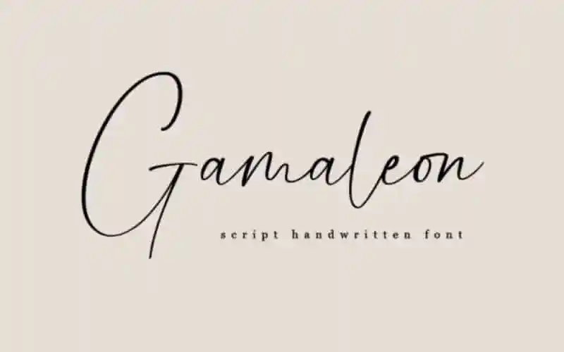 Gamaleon Script Font