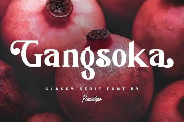 Gangsoka Serif Font