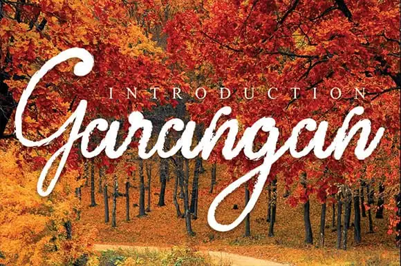 Garangan Brush Font