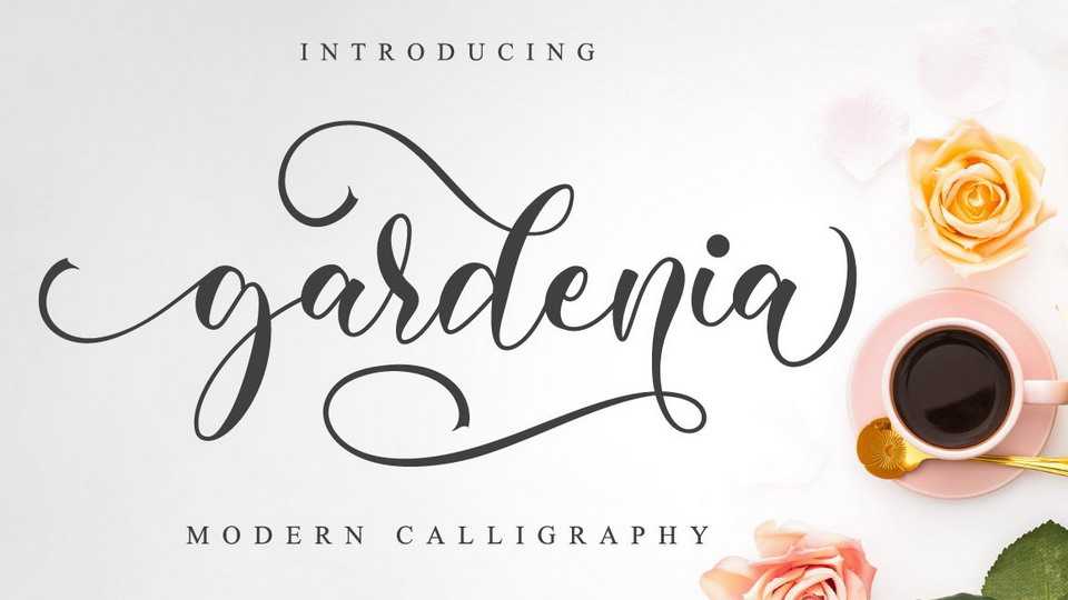 Gardenia Script Font › Fontesk