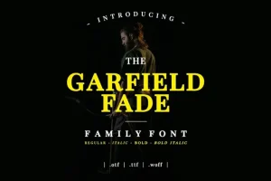Garfield Fade Font