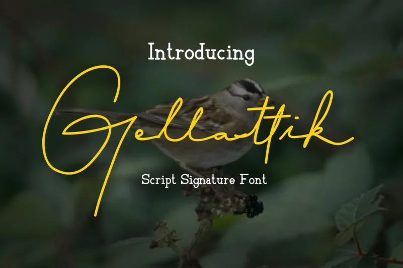 Gellattik Signature Font