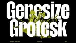 Genesize Grotesk Font › Fontesk