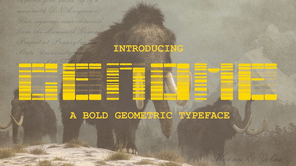 Genome Font › Fontesk