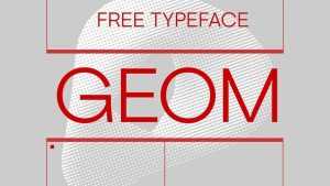 Geom Font › Fontesk