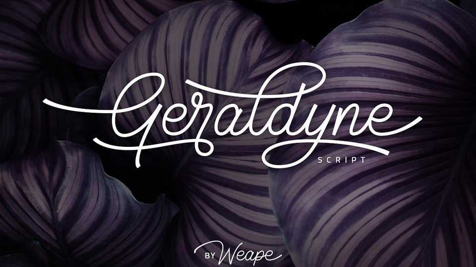 Geraldyne Script Font › Fontesk