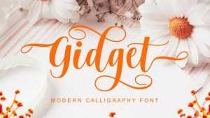 Gidget Font › Fontesk