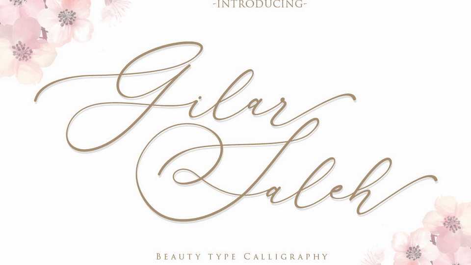 Gilar Saleh Script Font › Fontesk