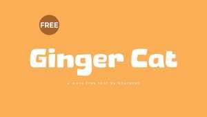 Ginger Cat Font › Fontesk