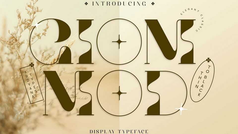 Giom Mod Font › Fontesk