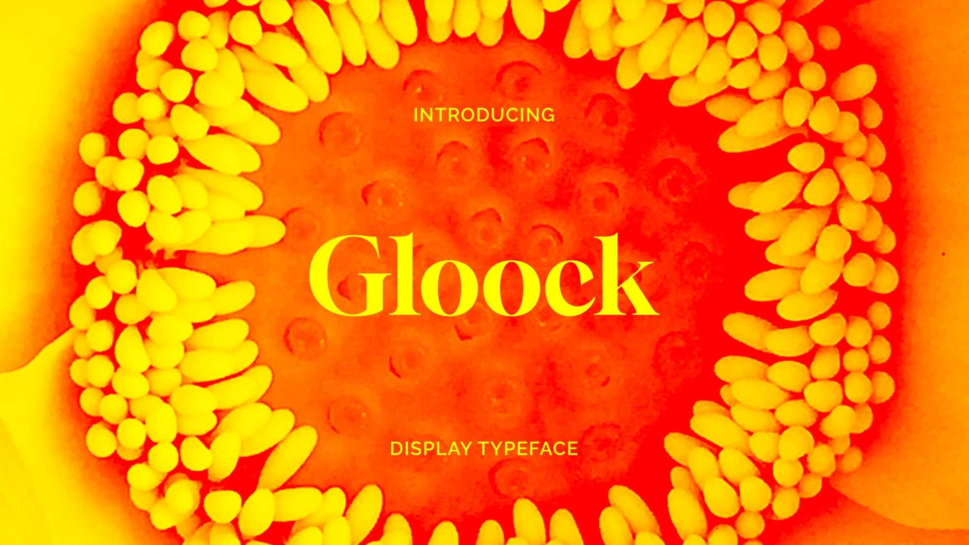 Gloock Font › Fontesk