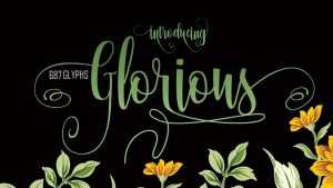 Glorious Script Font › Fontesk