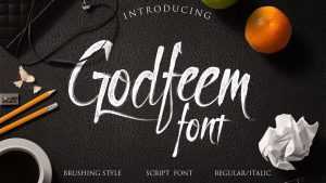 Godfeem Script Font › Fontesk