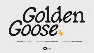 Golden Goose Font › Fontesk