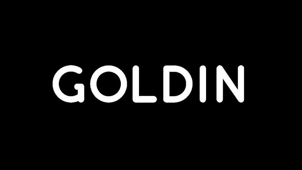 Goldin Font Family › Fontesk