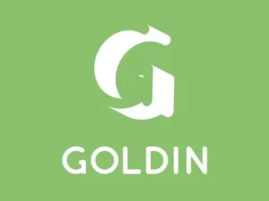 Goldin Typeface