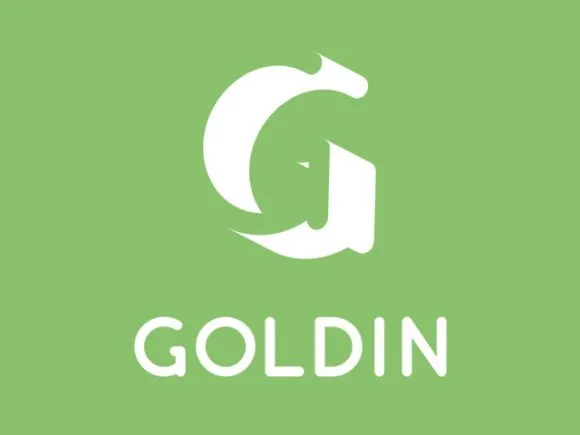 Goldin Typeface