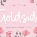 Goldside Bold Monoline Handbrushed Font