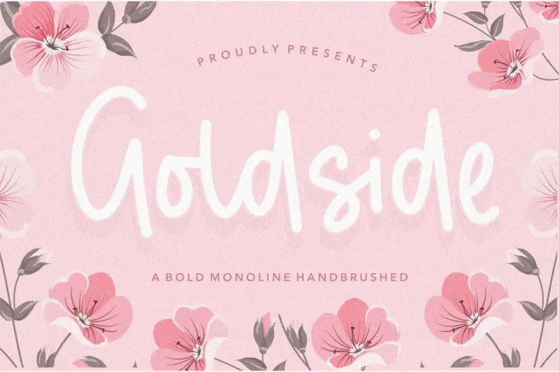 Goldside Bold Monoline Handbrushed Font