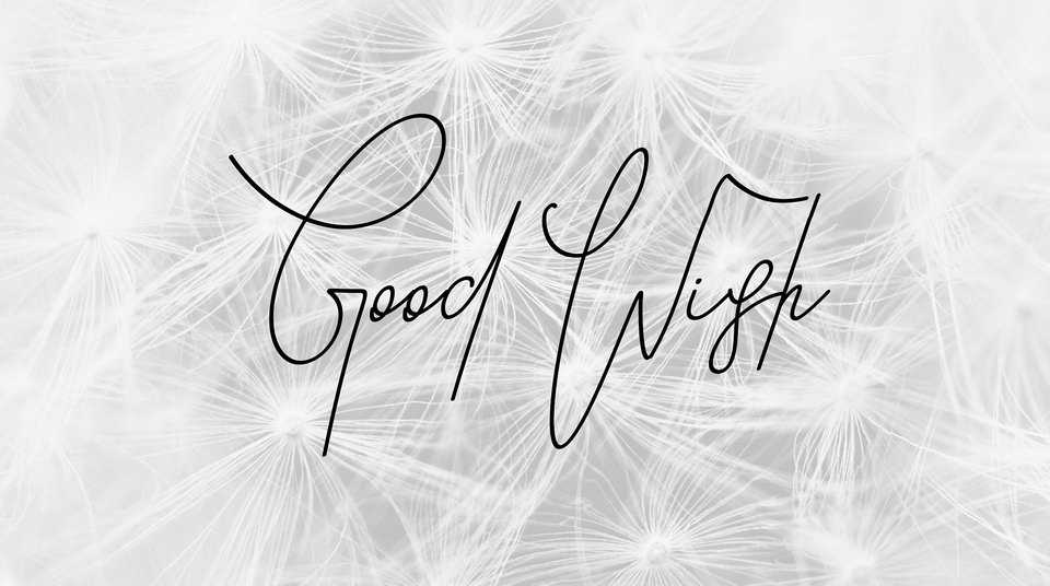 Good Wish Script Font › Fontesk