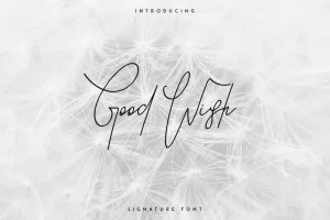 Good Wish Signature Font