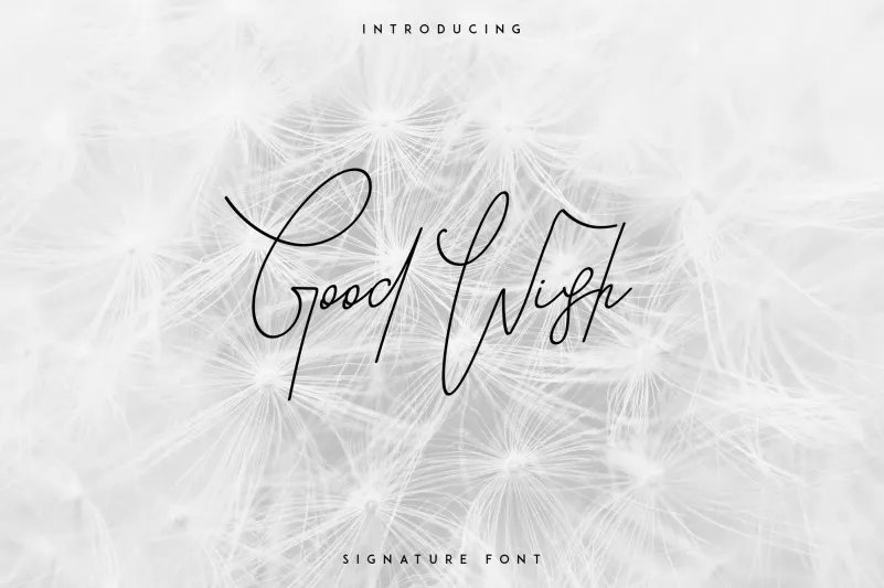Good Wish Signature Font