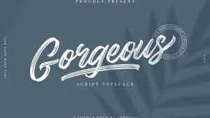 Gorgeous Script Font › Fontesk