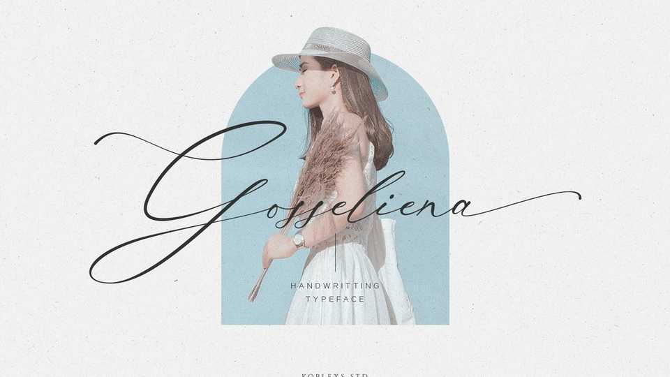 Gosseliena Handwritten Signature Font › Fontesk
