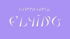 Gotta Catch Flying Font › Fontesk