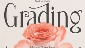 Grading Font › Fontesk
