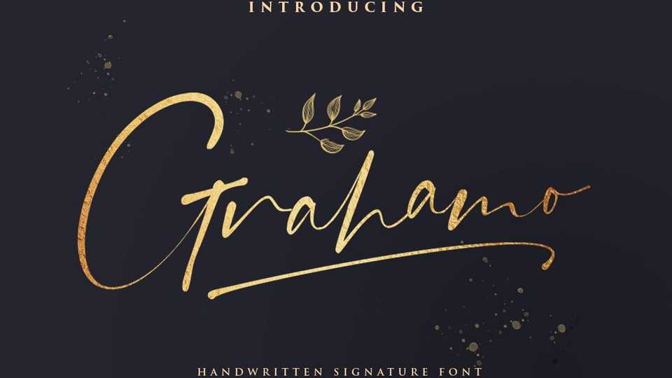 Grahamo Scipt › Fontesk