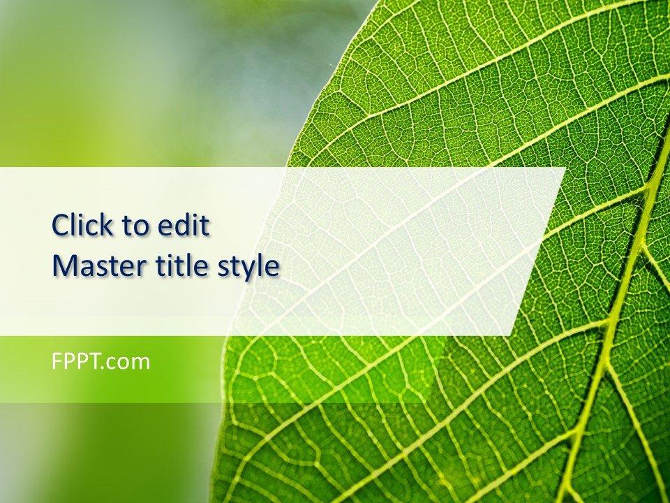 Green Leaf PowerPoint Background