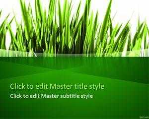 Green PPT Template