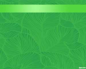 Green Presentation PowerPoint Template