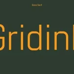 Gridink Sans Serif Font Demo