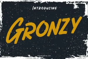 Gronzy Brush Font