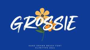 Grossie Font › Fontesk