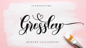 Grossley Script Font › Fontesk