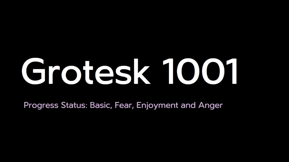 Grotesk 1001 Font › Fontesk