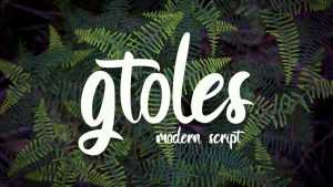 Gtoles Script Font › Fontesk